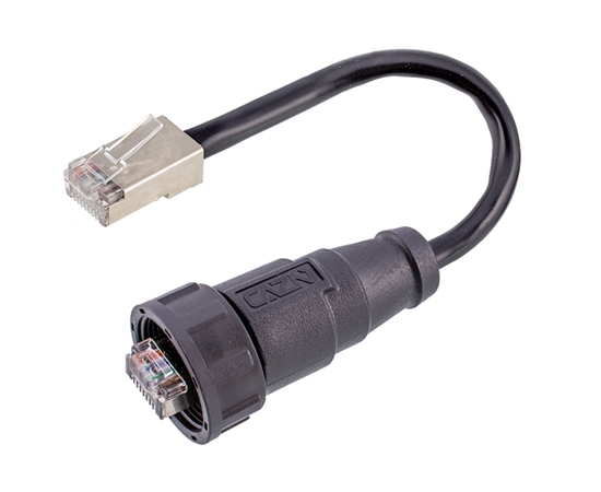 Rj45 прямой мужской переводчик (байон)